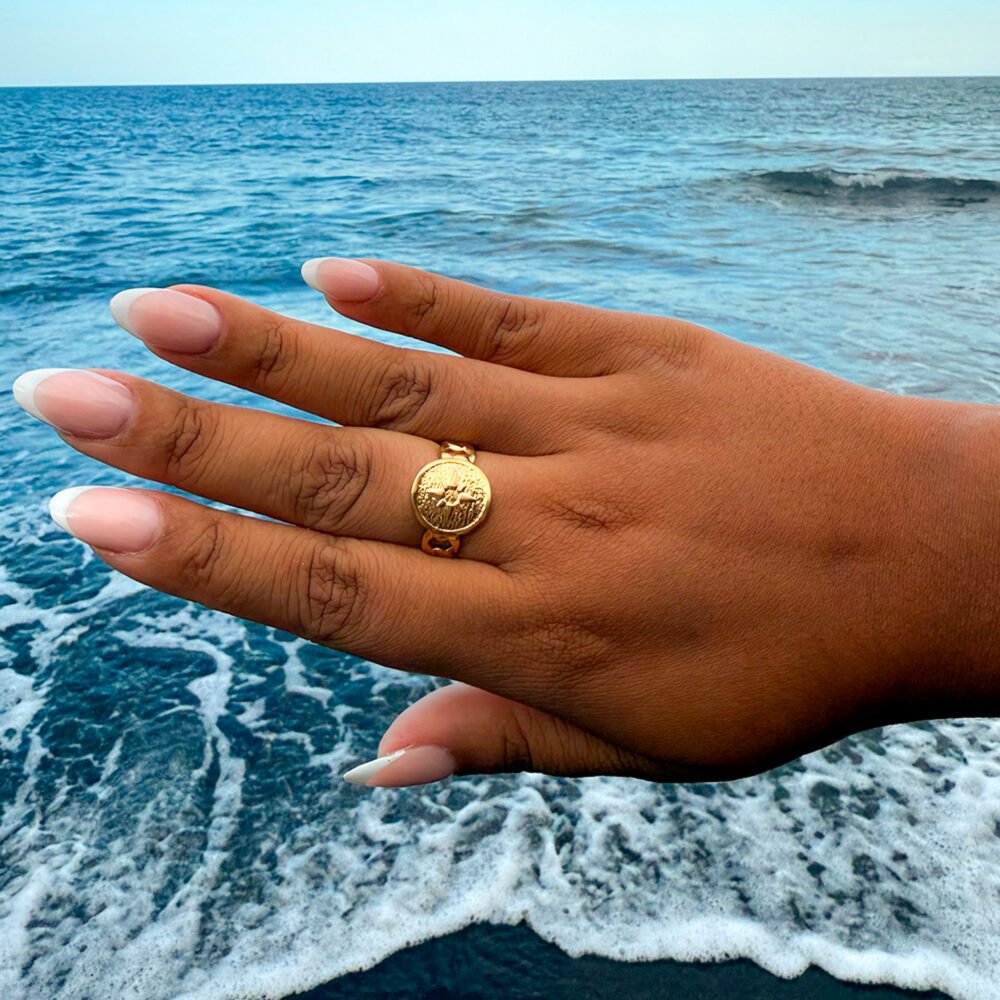 Anillo Guía - Imagen 2