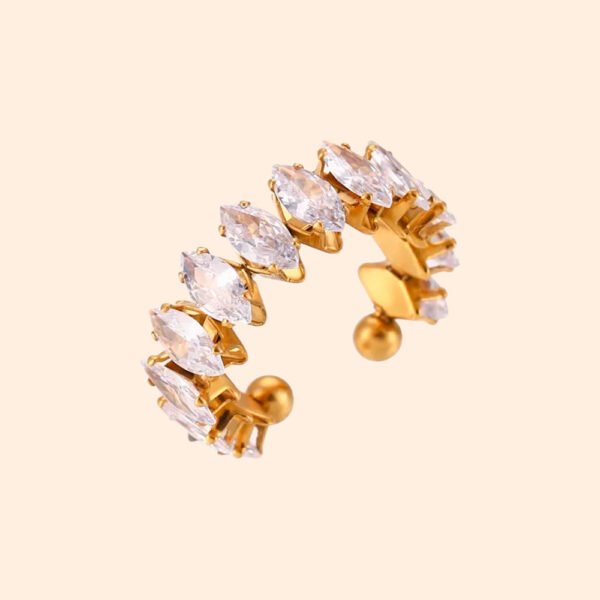 Anillo Centella
