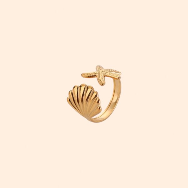 Anillo Bahía